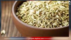 Health News: ਇਨ੍ਹਾਂ 8 ਸਰੀਰਕ ਫਾਇਦਿਆਂ ਲਈ ਕਰੋ ਸੌਂਫ ਦਾ ਸੇਵਨ, ਦਿਮਾਗ ਤੋਂ ਲੈ ਕੇ ਸਰੀਰ ਤੱਕ ਹੋਣਗੇ ਇਹ ਲਾਭ