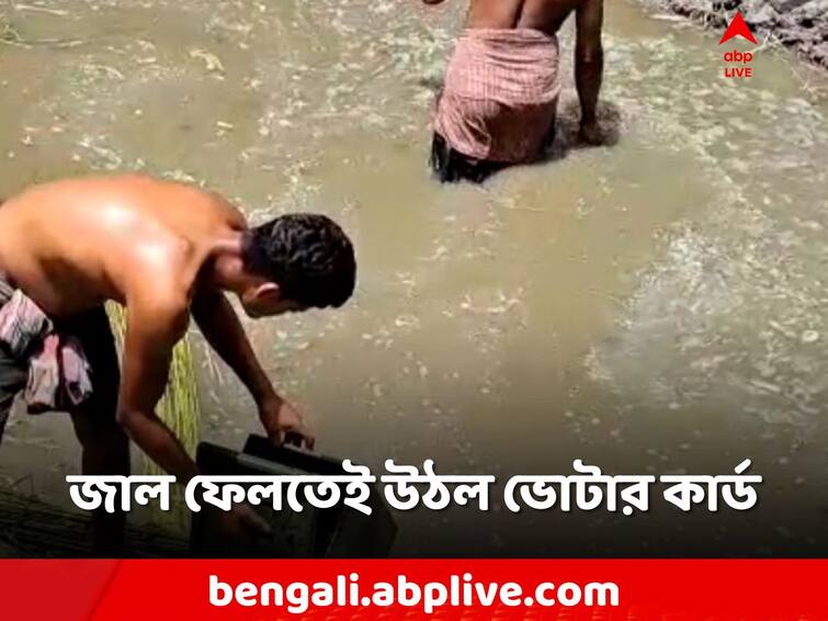 North 24 parganas, Several voter cards recovered from the pond North 24 Parganas: পুকুরে জাল ফেলতেই উঠে এল গোছা গোছা ভোটার কার্ড!