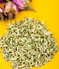 Fennel seeds: ਸਰੀਰਕ ਫਾਇਦਿਆਂ ਲਈ ਕਰੋ ਸੌਂਫ ਦਾ ਸੇਵਨ, ਦਿਮਾਗ ਤੋਂ ਲੈ ਕੇ ਸਰੀਰ ਤੱਕ ਹੋਣਗੇ ਲਾਭ