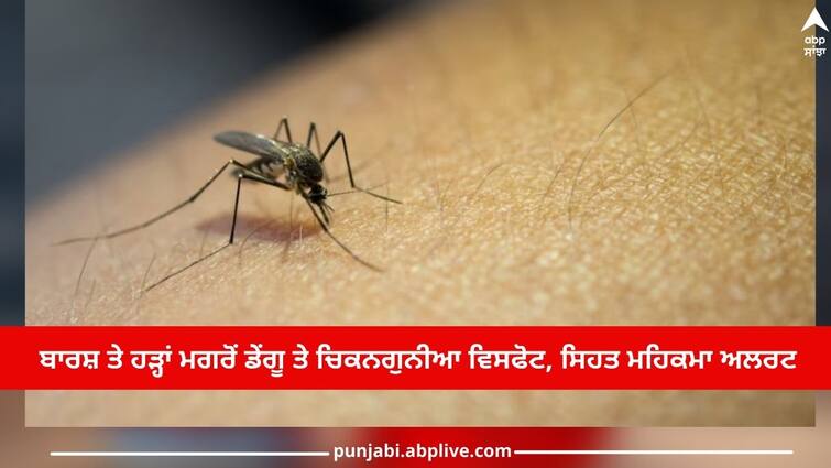 Dengue and chikungunya outbreak after rain and floods,  increase in cases, health department alert Health Alert: ਬਾਰਸ਼ ਤੇ ਹੜ੍ਹਾਂ ਮਗਰੋਂ ਡੇਂਗੂ ਤੇ ਚਿਕਨਗੁਨੀਆ ਵਿਸਫੋਟ, ਅਚਾਨਕ ਵਧਣ ਲੱਗੇ ਕੇਸ, ਸਿਹਤ ਮਹਿਕਮਾ ਅਲਰਟ 