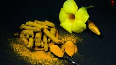 Turmeric Milk: অনিদ্রা থেকে অ্যান্টিবায়োটিক, শরীর সুস্থ রাখতে হলুদ দুধের হাজারো উপকারিতা