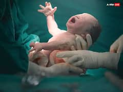 Garuda Purana: जैसा कर्म वैसा अगला जन्म, जानें अगले जन्म में किस रूप में पैदा होंगे आप