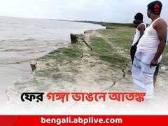 ফের গঙ্গা ভাঙনের জেরে মালদায় আতঙ্ক , নদী গর্ভে মানিকচকের বিস্তীর্ণ জমি