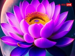 Lakshmi ji: मां लक्ष्मी की चाहिए कृपा, तो घर पर जरूर रखें ये 5 चीज