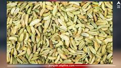 Fennel seeds: ਸਰੀਰਕ ਫਾਇਦਿਆਂ ਲਈ ਕਰੋ ਸੌਂਫ ਦਾ ਸੇਵਨ, ਦਿਮਾਗ ਤੋਂ ਲੈ ਕੇ ਸਰੀਰ ਤੱਕ ਹੋਣਗੇ ਲਾਭ