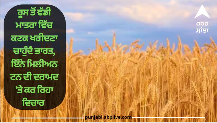 India wants to buy large quantity of wheat from Russia, considering import of this million tonnes India-Russia Wheat Import: ਰੂਸ ਤੋਂ ਵੱਡੀ ਮਾਤਰਾ ਵਿੱਚ ਕਣਕ ਖਰੀਦਣਾ ਚਾਹੁੰਦੈ ਭਾਰਤ, ਇੰਨੇ ਮਿਲੀਅਨ ਟਨ ਦੀ ਦਰਾਮਦ 'ਤੇ ਕਰ ਰਿਹਾ ਵਿਚਾਰ