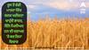 India-Russia Wheat Import: ਰੂਸ ਤੋਂ ਵੱਡੀ ਮਾਤਰਾ ਵਿੱਚ ਕਣਕ ਖਰੀਦਣਾ ਚਾਹੁੰਦੈ ਭਾਰਤ, ਇੰਨੇ ਮਿਲੀਅਨ ਟਨ ਦੀ ਦਰਾਮਦ 'ਤੇ ਕਰ ਰਿਹਾ ਵਿਚਾਰ