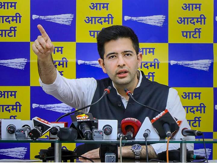 Amit Shah Claims Opposition Alliance will Break AAP MP Raghav Chadha Says INDIA is Like Fevicol Bond 'AAP तोड़ देगी गठबंधन', अमित शाह ने किया ये दावा तो राघव चड्ढा बोले- फेविकोल के जोड़ की तरह मजबूत है INDIA