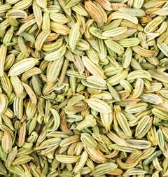 Fennel seeds: ਸਰੀਰਕ ਫਾਇਦਿਆਂ ਲਈ ਕਰੋ ਸੌਂਫ ਦਾ ਸੇਵਨ, ਦਿਮਾਗ ਤੋਂ ਲੈ ਕੇ ਸਰੀਰ ਤੱਕ ਹੋਣਗੇ ਲਾਭ