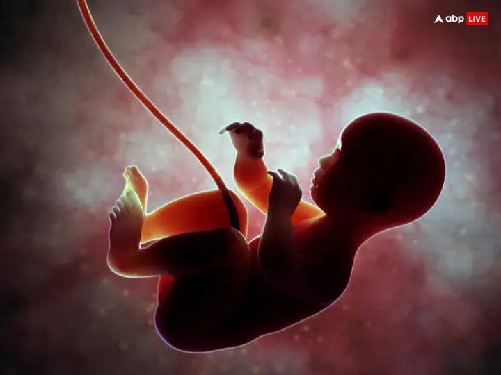 गौ हत्या, भूर्ण हत्या, महिलाओं की हत्या करना महापाप माना गया है. ऐसा करने वालों को अगले जन्म में चांडाल योनि प्राप्त होती है.