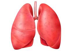 जिन लोगों को है ये गंदी लत, उन्हें समय-समय पर जरूर करना चाहिए फेफड़ों की सफाई... जानें कैसे