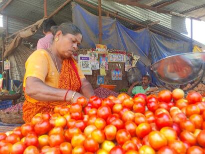 The theft of 50 kg of tomatoes from the old womans shop in Salem TNN மூதாட்டி கடையில் இருந்து 50 கிலோ தக்காளி திருட்டு சேலத்தில் அதிர்ச்சி