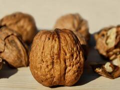 वजन घटाने के लिए फायदेमंद है अखरोट, बस जान लें इसे खाने का सही तरीका