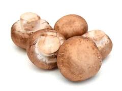 Mushroom Wash Tips: सड़ा हुआ समझकर फेंक देते हैं मशरूम, लेकिन ऐसे साफ करके इस्तेमाल ला सकते हैं