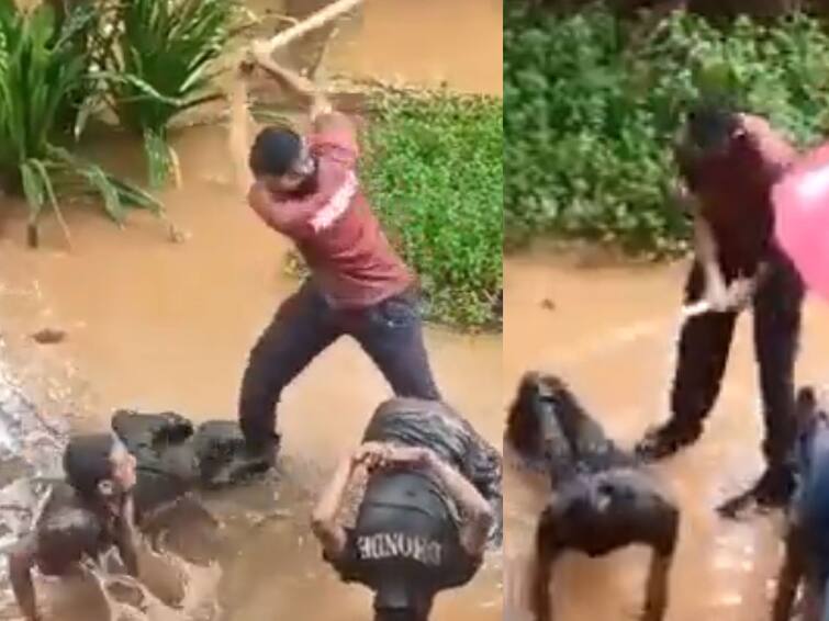 Maharashtra Viral Video NCC cadets, face down in puddle, caned by senior Maharashtra Viral Video: ఎన్‌సీసీ ట్రైనింగ్‌లో దారుణం-మనుషులను ఇలా కొడతారా?