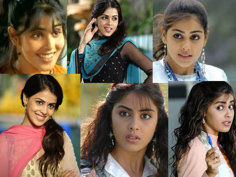 Genelia celebrates her 36th birthday today special story HBD Genelia d'souza : ஆல்வேஸ் கியூட் அண்ட் பப்ளி... தென்னிந்திய சினிமாவின் பட்டர்பிளை ஜெனிலியாவின் பர்த்டே