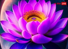 Lakshmi ji: મા લક્ષ્મીની કૃપા મેળવવી હોય તો ઘરમાં જરૂર રાખો આ 5 ચીજ