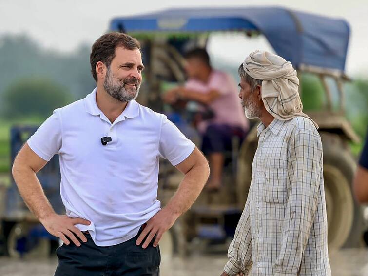 World Tribal Day Rahul Gandhi wishes World Tribal Day praises Chhattisgarh government Ann World Tribal Day: विश्व आदिवासी दिवस पर राहुल गांधी ने की छत्तीसगढ़ सरकार की तारीफ, कहा- हमारी नीतियां, बना रहीं रास्ता