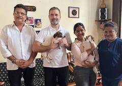 गोवा से अकेले नहीं लौटे राहुल गांधी, गोद में था एक क्यूट सा गिफ्ट, देखें तस्वीरें