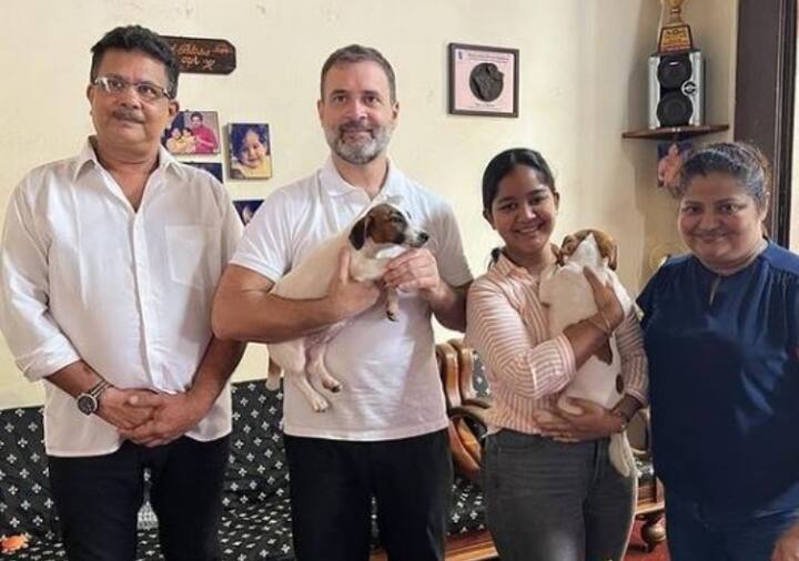 रिपोर्ट्स के अनुसार, राहुल गांधी ने हाल ही में अपना एक पेट डॉग खो दिया था. गोवा यात्रा के दौरान जब उन्हें पता चला कि एक जगह हर ब्रीड का डॉग मिलता है तो लेने चले गए.