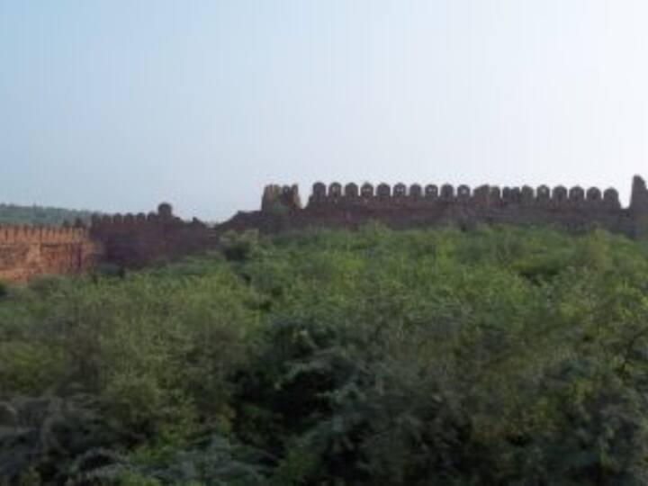 जिसके बाद ना केवल एतिहासिक हजरत ख्वाजा शेख मूसा की दरगाह वजूद में आई बल्कि उसी दिन से पल्ला गांव बस गया. इस्लाम धर्म का प्रचार करते-करते सन 1332 में उनका देहांत हो गया.