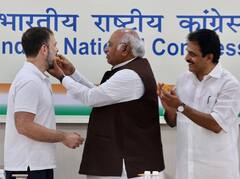 Modi Surname Case: राहुल गांधी का जोरदार स्वागत, प्रियंका गांधी और मल्लिकार्जुन खरगे ने खिलाया लड्डू, देखें तस्वीरें