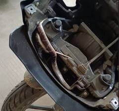 અમદાવાદના ઈન્કમ ટેક્સ ચાર રસ્તા પાસે યુવક બાઈક લઇને થતો હતો પસાર, અચાનક પેટ્રોલની ટાંકી પર જોયો સાપ ને પછી.....