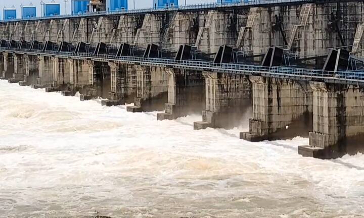 Bhandara News : मागील तीन दिवसांपासून भंडारा जिल्ह्यासह गोसीखुर्द धरणाच्या पाणलोट क्षेत्रात पावसानं जोरदार हजेरी लावलेली आहे.