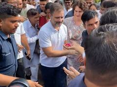 Modi Surname Case: राहुल गांधी का जोरदार स्वागत, प्रियंका गांधी और मल्लिकार्जुन खरगे ने खिलाया लड्डू, देखें तस्वीरें