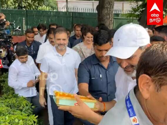 Rahul Gandhi Mass Entry : ராகுல் காந்தி மாஸ் ENTRY.. அதிர்ந்த தலைநகரம்!