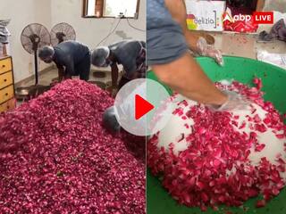 पान खाने के शौकीन इस Video को जरूर देखें... अगली बार खाने से पहले सोचेंगे!