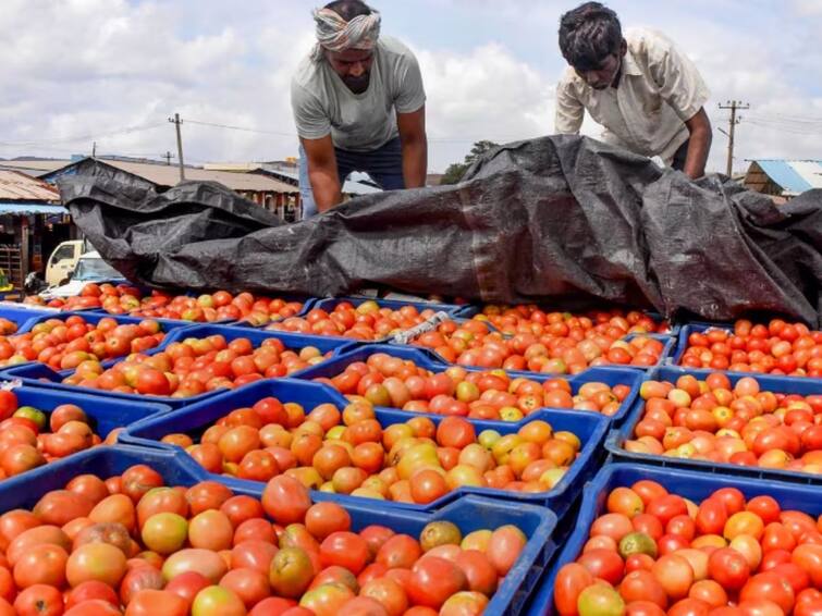 Punjab Governor Banwarilal Purohit Takes Off Tomato From Menu At Raj Bhavan As Prices Skyrocket గవర్నర్‌నీ భయపెట్టిన ధరలు, ఫుడ్‌ మెనూ నుంచి టమాటా ఔట్