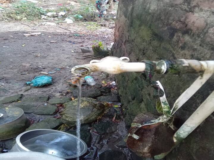 Tiruvarur: Pooran came in drinking water pipe; Frightened public TNN திருவாரூர்: குடிநீர் குழாயில் வந்த பூரான்; அச்சமடைந்த பொதுமக்கள்