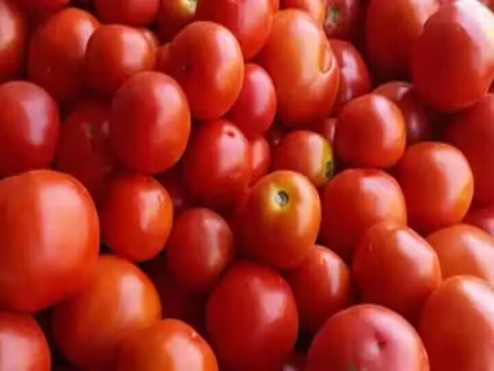 Tomato Price: வத்தலக்குண்டு மார்க்கெட்டில் குறைந்த தக்காளி விலை; ஒரு கிலோ ரூ.70க்கு விற்பனை