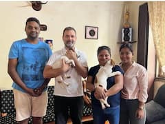 Rahul Gandhi Gets A New Pet: Congress Leader Brings Jack Russell Terrier Puppy From Goa