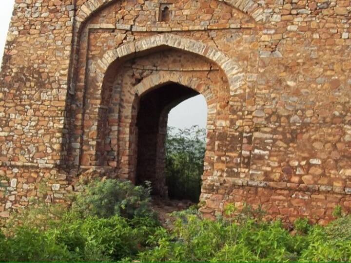 परवरिश निजामुदीन औलिया ने की और देशभर में हिन्दू-मुस्लिम एकता और इस्लाम धर्म को बढावा देने के लिऐ उन्हें भ्रमण पर भेज दिया.