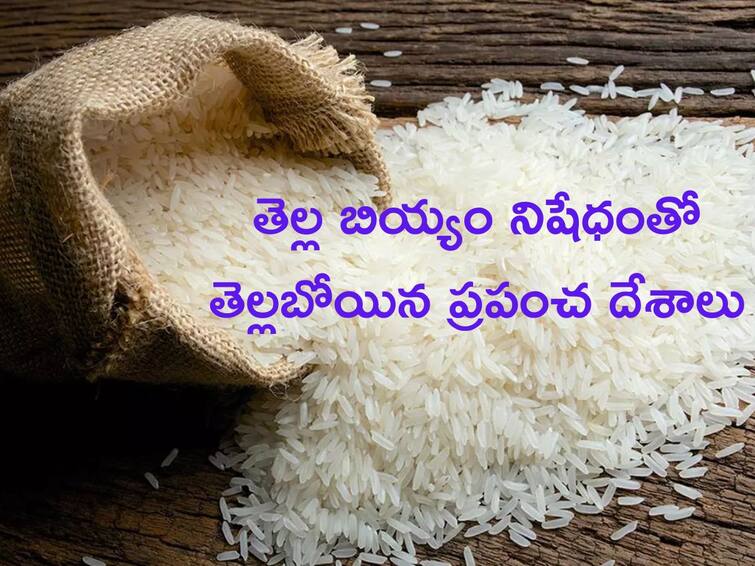 India Rice Ban sent people into a panic Heres whats going on now Rice Ban: బియ్యమో రామచంద్రా అంటున్న ప్రపంచ దేశాలు, USలో పరిస్థితి ఎలా ఉంది?
