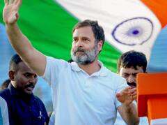 सुप्रीम कोर्ट के फैसले के बाद राहुल गांधी की कब बहाल होगी सदस्यता? जानें इस सबसे बड़े सवाल का जवाब