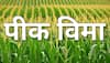 Crop Insurance :  मोठी बातमी! धाराशिव जिल्ह्यातील बळीराजाला मोठा दिलासा; सर्वच 57 मंडळाना मिळणार अग्रीम पीक विमा