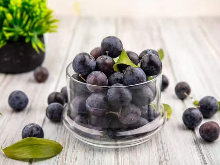 Health Benefits of Consuming Java Plum During Pregnancy प्रेग्नेंसी