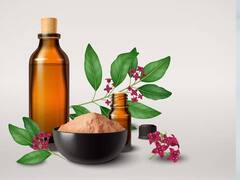 Homeopathic Medicine: होम्योपैथी की दवा लेने का यह है सही तरीका वरना नहीं दिखेगा असर