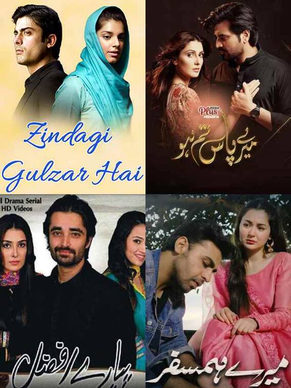 इन पाकिस्तानी सीरियल्स का इंडिया में भी चला जादू