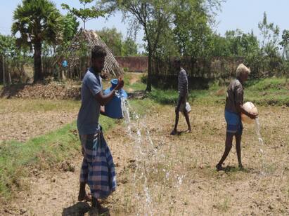Guruvai Cultivation without water in Nagapattinam dist TNN நீரின்றி வறண்டு கிடக்கும்  பயிர்கள் குடத்தில் தண்ணீரை தெளிக்கும் அவலம் - நாகையில் விவசாயிகள் வேதனை