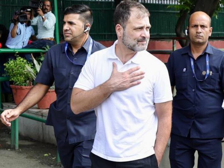 Modi Surname Case: राहुल गांधी को SC से राहत मिलने पर शायराना हुए इमरान प्रतापगढ़ी, कहा- 'शेर वापस पलट के...' Rahul Gandhi Defamation Case MP Imran Pratapgarhi Welcomed Surname Case Verdict by shayari Modi Surname Case: राहुल गांधी को SC से राहत मिलने पर शायराना हुए इमरान प्रतापगढ़ी, कहा- 'शेर वापस पलट के...'