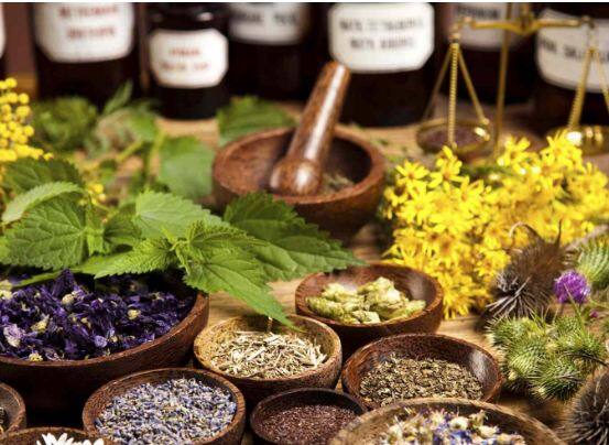 ਕਦੇ ਵੀ ਖੁੱਲੀ ਨਾ ਰੱਖੋ ਦਵਾਈ ਦੀ ਬੋਤਲ : ਹੋਮਿਓਪੈਥਿਕ ਦਵਾਈ ਨੂੰ ਕਦੇ ਵੀ ਹੱਥ ਵਿੱਚ ਲੈ ਕੇ ਨਹੀਂ ਖਾਣਾ ਚਾਹੀਦਾ। ਢੱਕਣ ਰਾਹੀਂ ਮੂੰਹ ਵਿੱਚ ਪਾ ਕੇ ਸਿੱਧਾ ਖਾਓ। ਦਵਾਈ ਲੈਣ ਦੇ 10 ਮਿੰਟਾਂ ਦੇ ਅੰਦਰ ਕੁਝ ਵੀ ਨਾ ਖਾਓ ਜਾਂ ਪੀਓ। ਬੁਰਸ਼ ਕਰਨ ਤੋਂ ਬਚੋ। ਜੇ ਤੁਸੀਂ ਹੋਮਿਓਪੈਥਿਕ ਦਵਾਈ ਲੈ ਰਹੇ ਹੋ ਤਾਂ ਕੌਫੀ ਅਤੇ ਚਾਹ ਪੀਣ ਤੋਂ ਪਰਹੇਜ਼ ਕਰੋ। ਜੇ ਤੁਸੀਂ ਇਸ ਦੀ ਦਵਾਈ ਖਾਣਾ ਚਾਹੁੰਦੇ ਹੋ ਤਾਂ ਇਸ ਨੂੰ ਜੀਭ ਦੇ ਹੇਠਾਂ ਦਬਾ ਕੇ ਚੂਸ ਲਓ। ਡਾਈਟ ਤੋਂ ਖੱਟੀਆਂ ਚੀਜ਼ਾਂ ਨੂੰ ਹਟਾ ਦਿਓ।