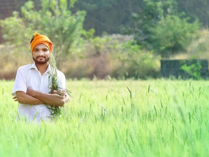 Pradhan Mantri Fasal Bima Yojana: કુદરતી આફતોને કારણે ઘણી વખત ખેડૂતોની મહેનત અને મૂડી વેડફાઈ જાય છે, જેના કારણે ખેડૂતો હતાશ અને પરેશાન થઈ જાય છે. આવી સ્થિતિમાં તેઓ વીમા યોજનાનો લાભ લઈ શકે છે.
