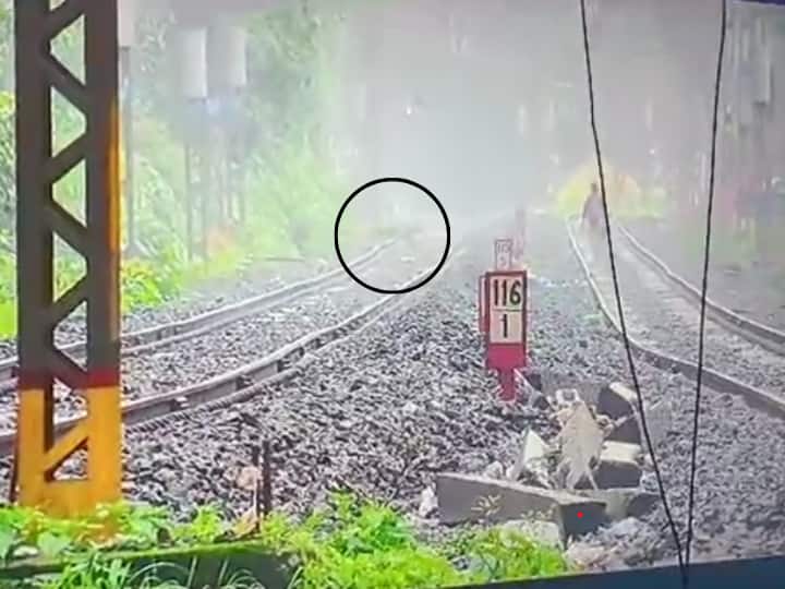 Tiger seen running on Lonavala railway track watch viral video बेफिक्र होकर रेलवे ट्रैक पर चल रहा था शख्स, अचानक सामने आ गया खूंखार बाघ और फिर... देखें Video
