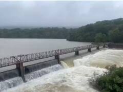 Kolhapur Rain Update : राधानगरी धरणाचे सर्व स्वयंचलित दरवाजे बंद; जंगमहट्टी प्रकल्प पूर्ण क्षमतेनं भरला