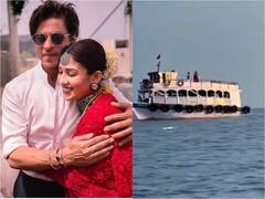 शाहरुख खान की फिल्म के गाने 'दिल तेरे संग जोड़ियां' का क्लिप लीक, नयनतारा के साथ रोमांस करते दिखे किंग खान