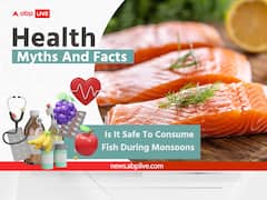 Health Myths And Facts: Is It Safe To Consume Fish During Monsoons? See What Experts Say